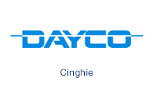 dayco